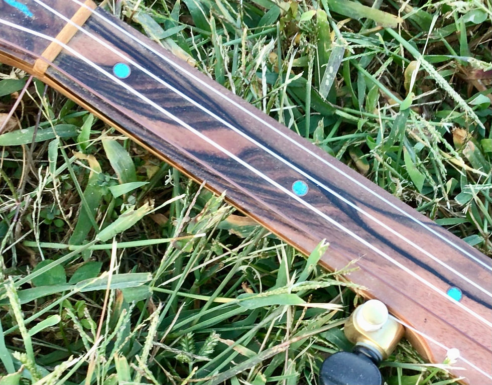 Thumbnail: Fretless Banjo #14