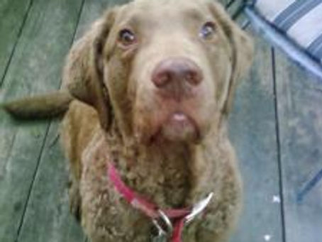 Getting Back in the Swing of Things