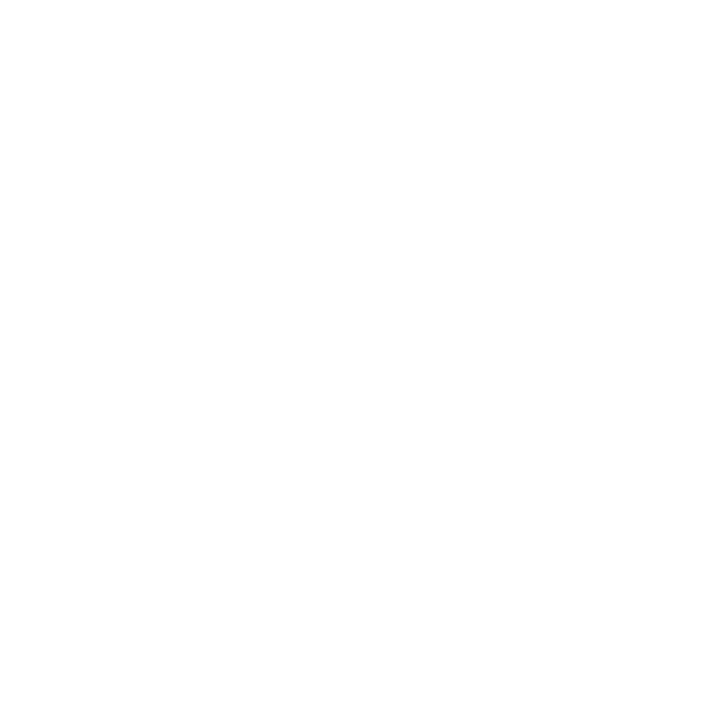 decorative element for The Lifestage Lab