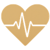 new-heart.png