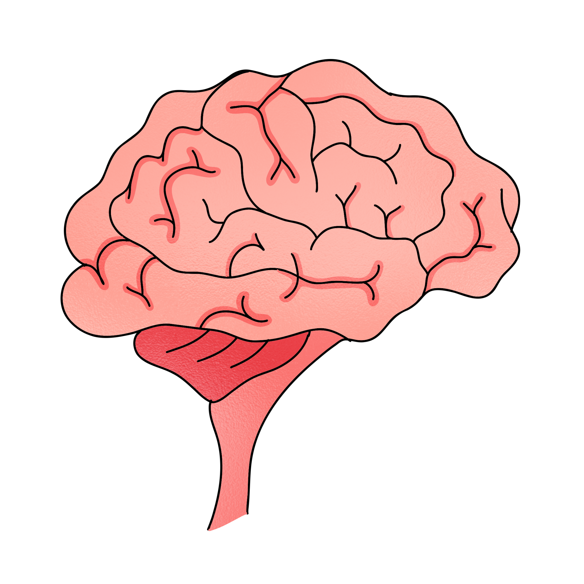 DON` T GET brain fuzz