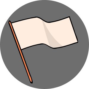 blank Flag icon.jpg