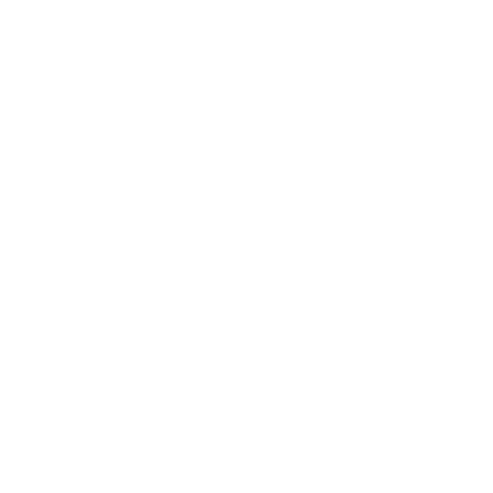 decorative element for The Lifestage Lab