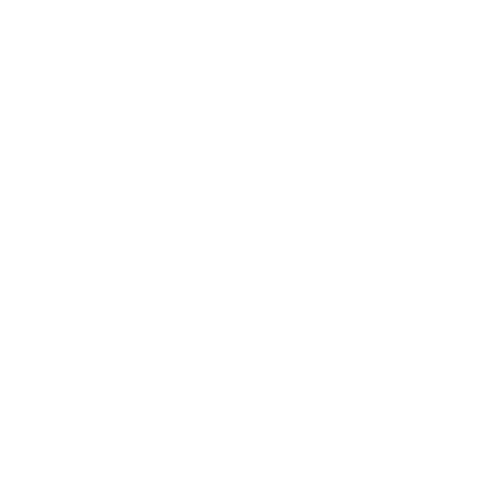 decorative element for The Lifestage Lab