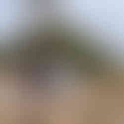 Me and my son. Errol is glued to the phone. I'm looking fat, in yet another yuk photo. Back problems