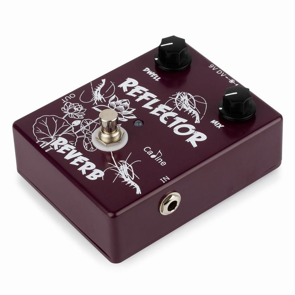 Thumbnail: Caline - CP44 Reflector Spring Reverb