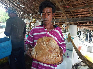 Garbage Collector Finds Whale Vomit - Somsak Boonrith.jpg