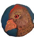 Bird4closeup_prost_edited.png