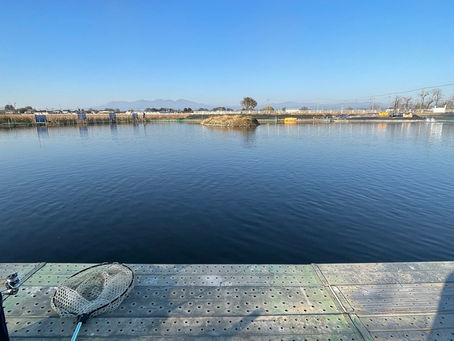 今シーズン初,東山道フィッシング