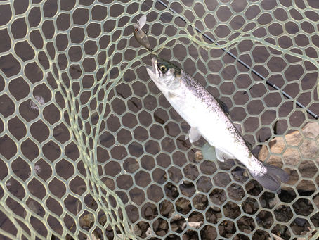 釣り納め,宮城アンヴィレにて