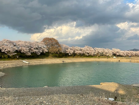 春休み最後の管釣り,加賀FA