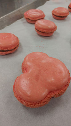 Peppermint Mickey Macaron