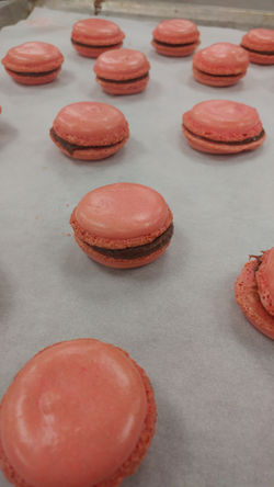 Peppermint Mickey Macaron