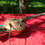 Thumbnail: cigar box copper fretless 3 strings