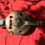 Thumbnail: cigar box copper fretless 3 strings