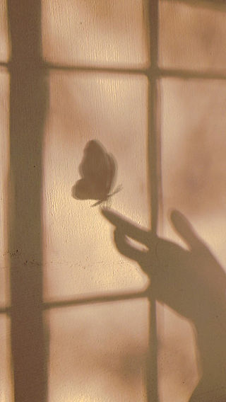 butterfly (2).jpeg
