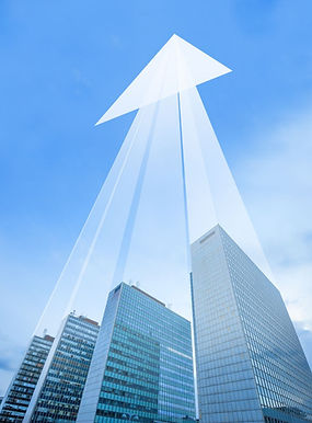 Untitled (1000 x 1200 px).jpg