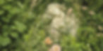 46fe2ff3a68cbea0cc17d6531dca6881_edited.jpg