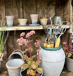 Potting Shed, Ella's Plantas