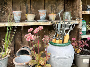 Potting Shed, Ella's Plantas