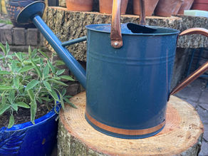Ella's Plantas: Watering Can