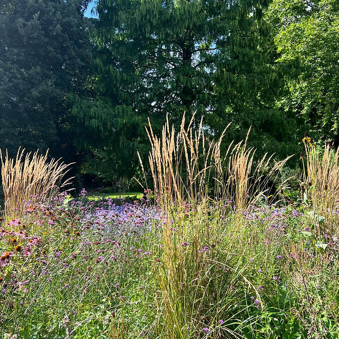 Naturalistic Garden, Ella's Plantas
