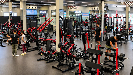 How to Choose the Right Gym Equipment?