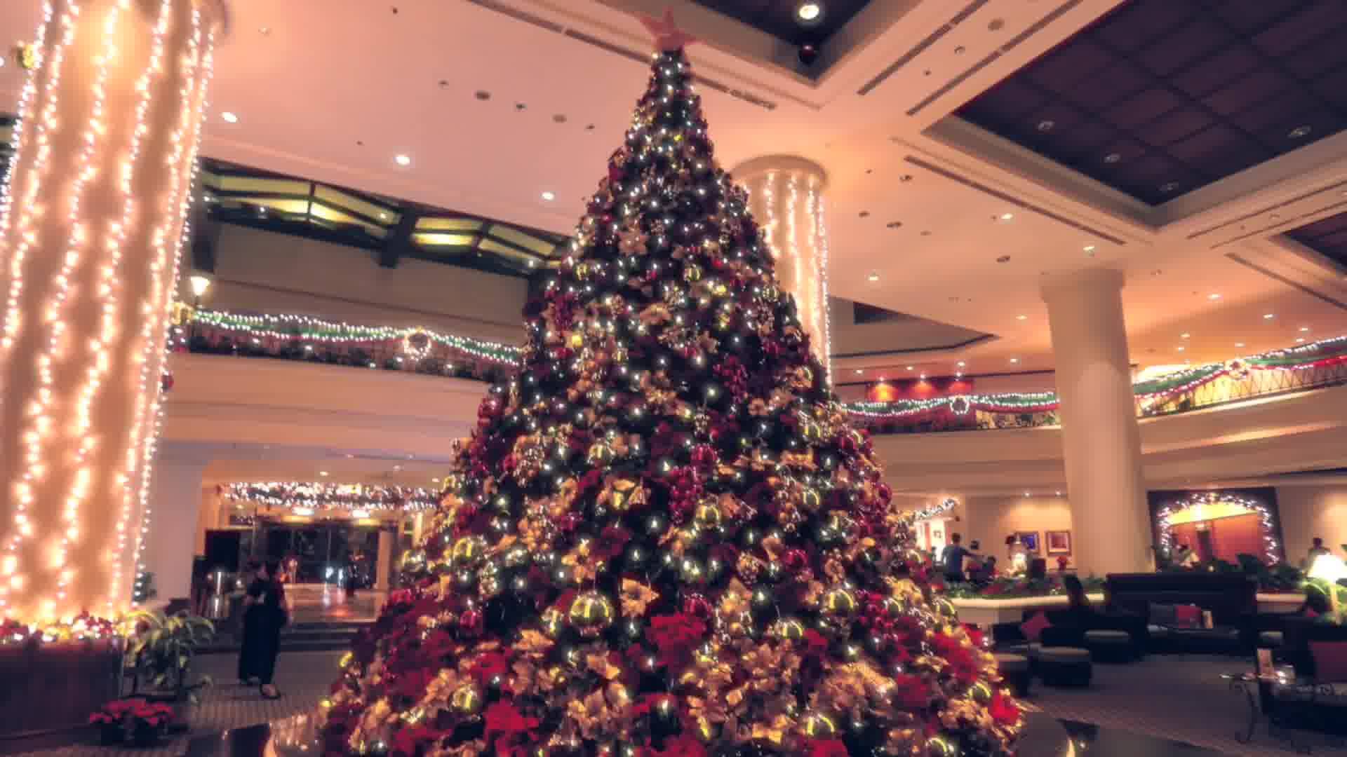 Sutera Harbour Resort Christmas Trailer 2017