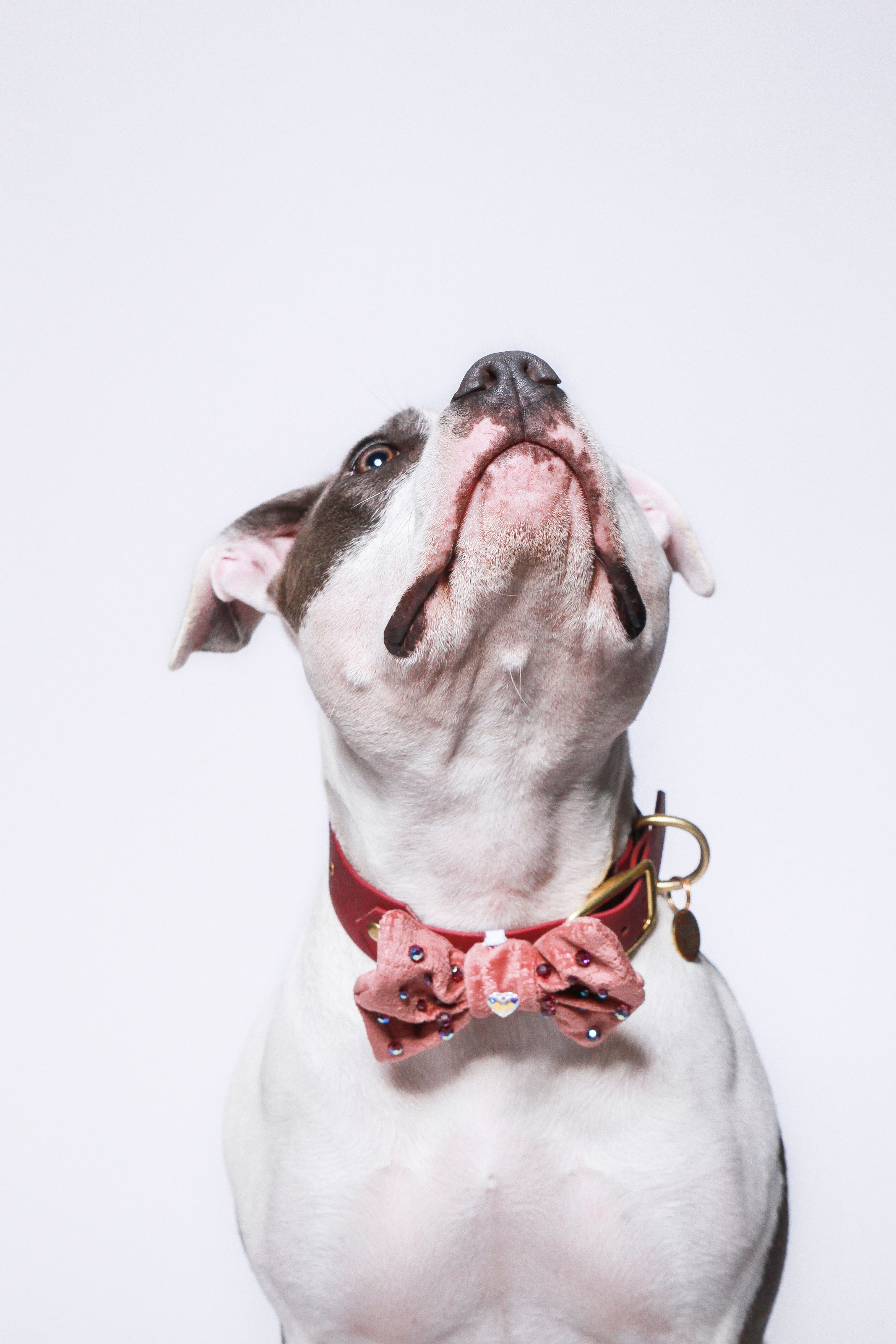 Noeud brodé pink love