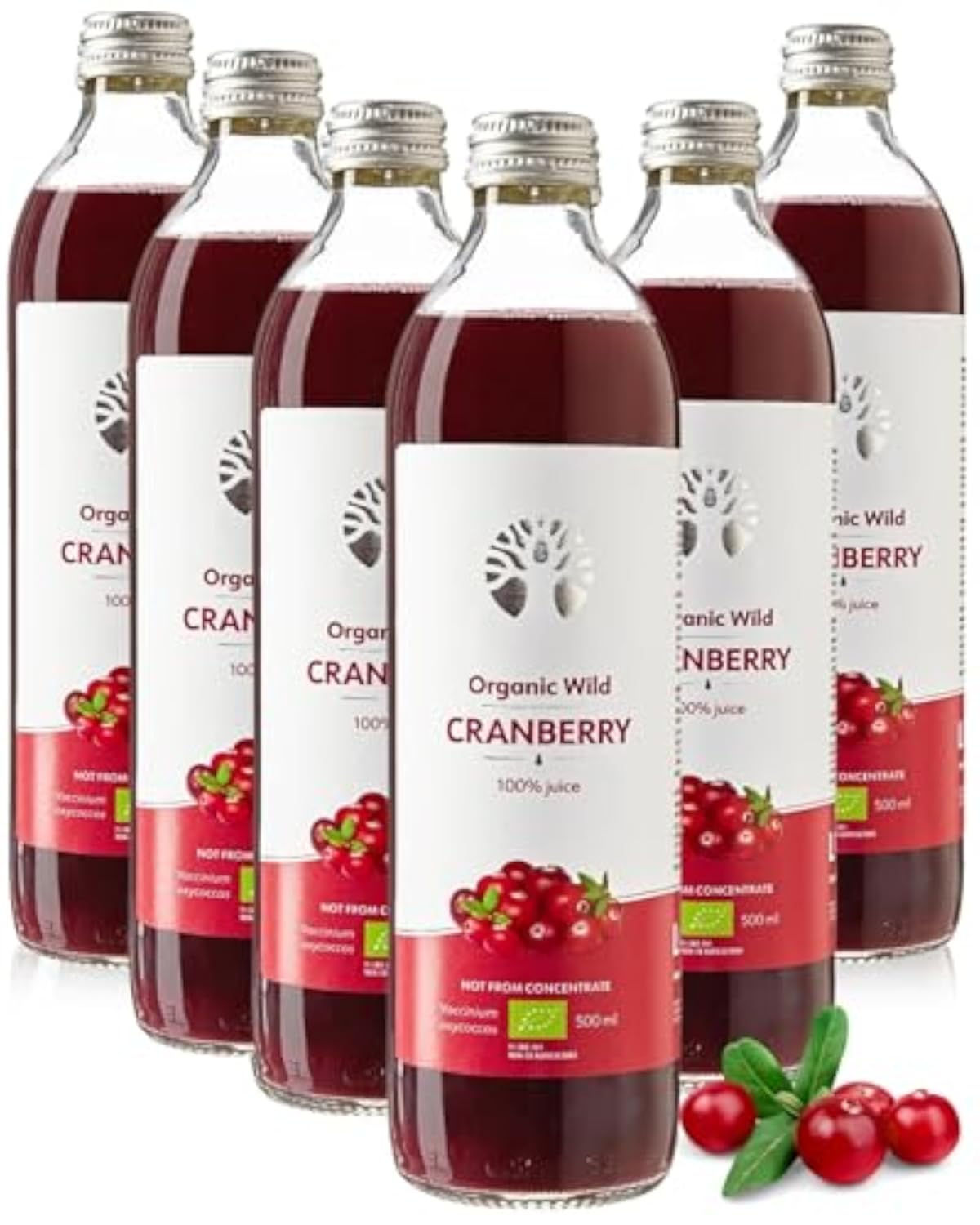 Six bouteilles de jus de canneberge sauvage bio 100% pur