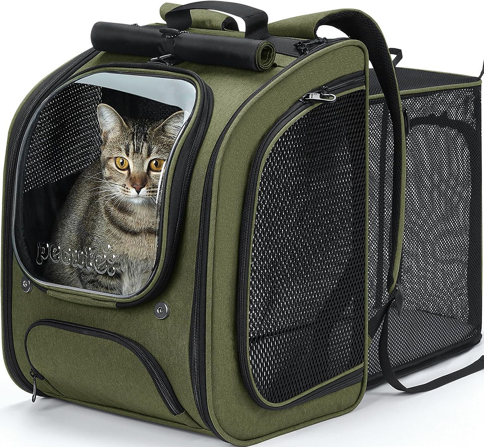 Sac à dos respirant Pecute vert pour chat et petit chien