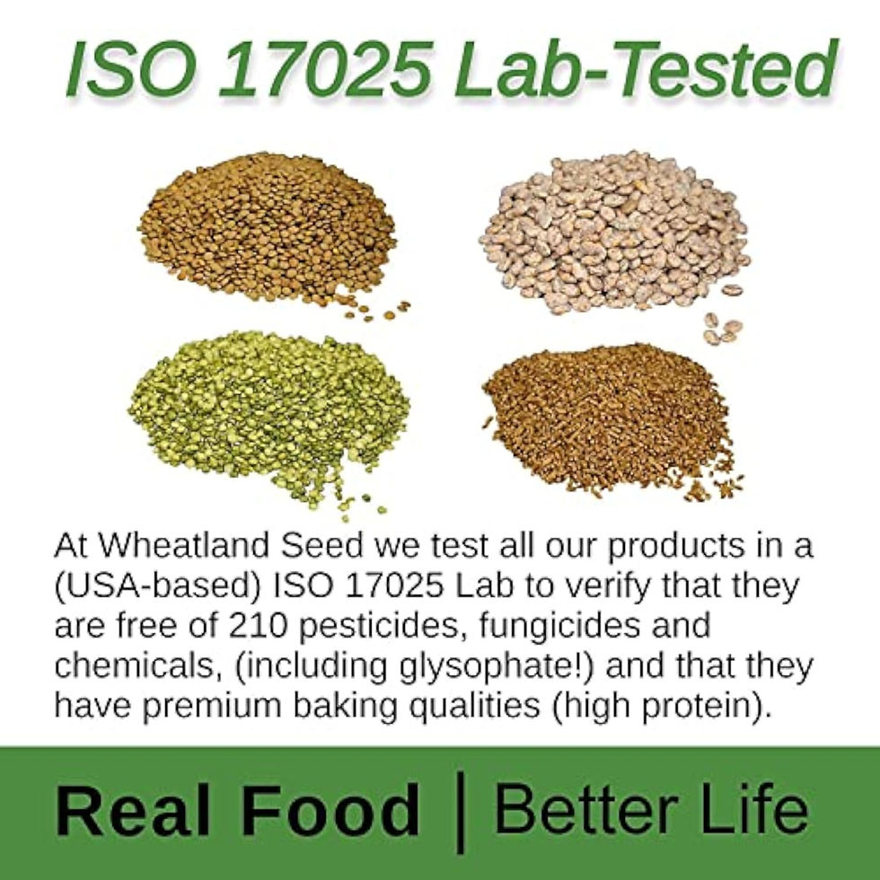 Thumbnail: Grains Wheatland testés en labo ISO pour kits de survie.