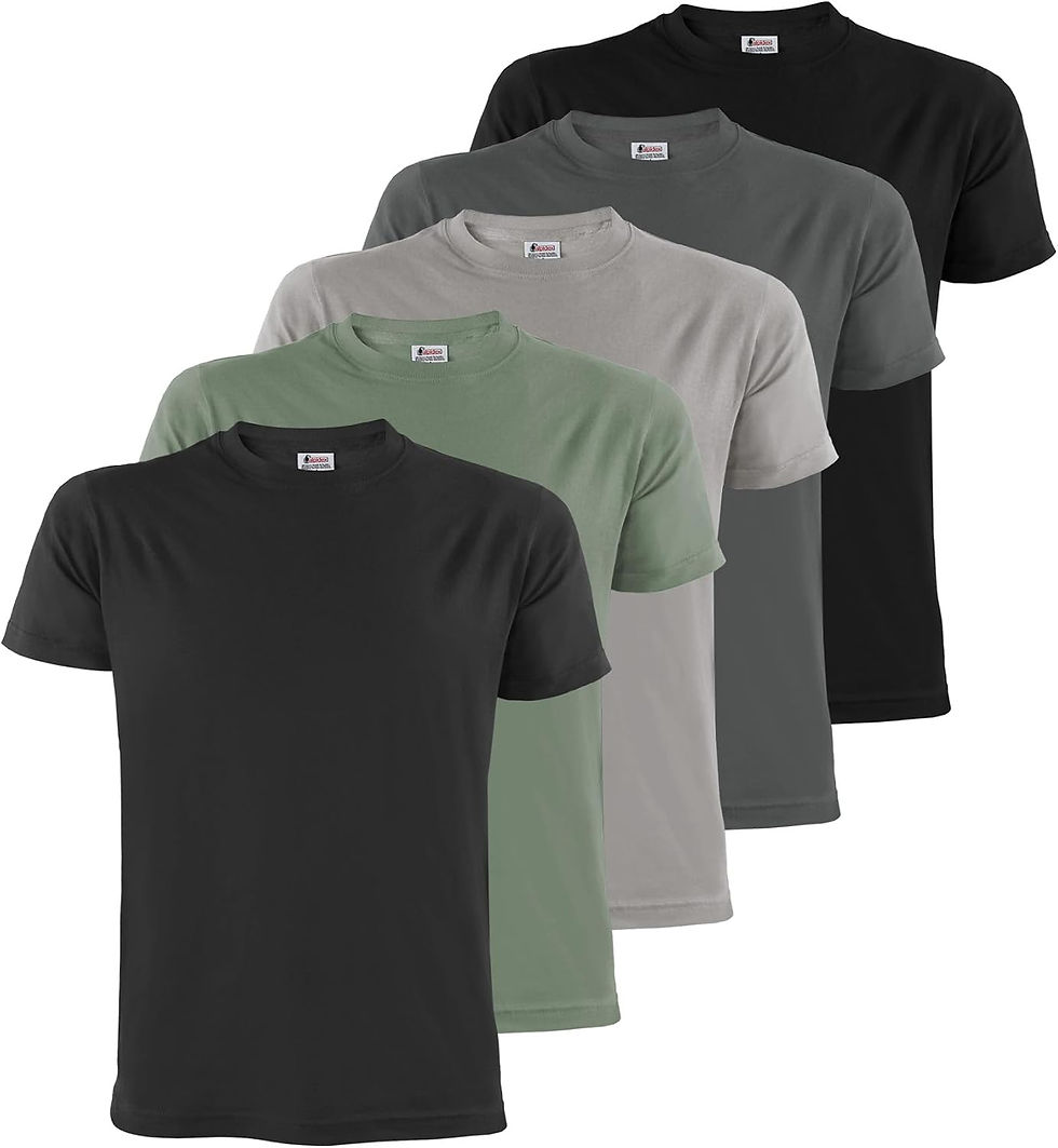 Miniature : Lot de 5 tee-shirts Alpidex homme en coton de divers coloris
