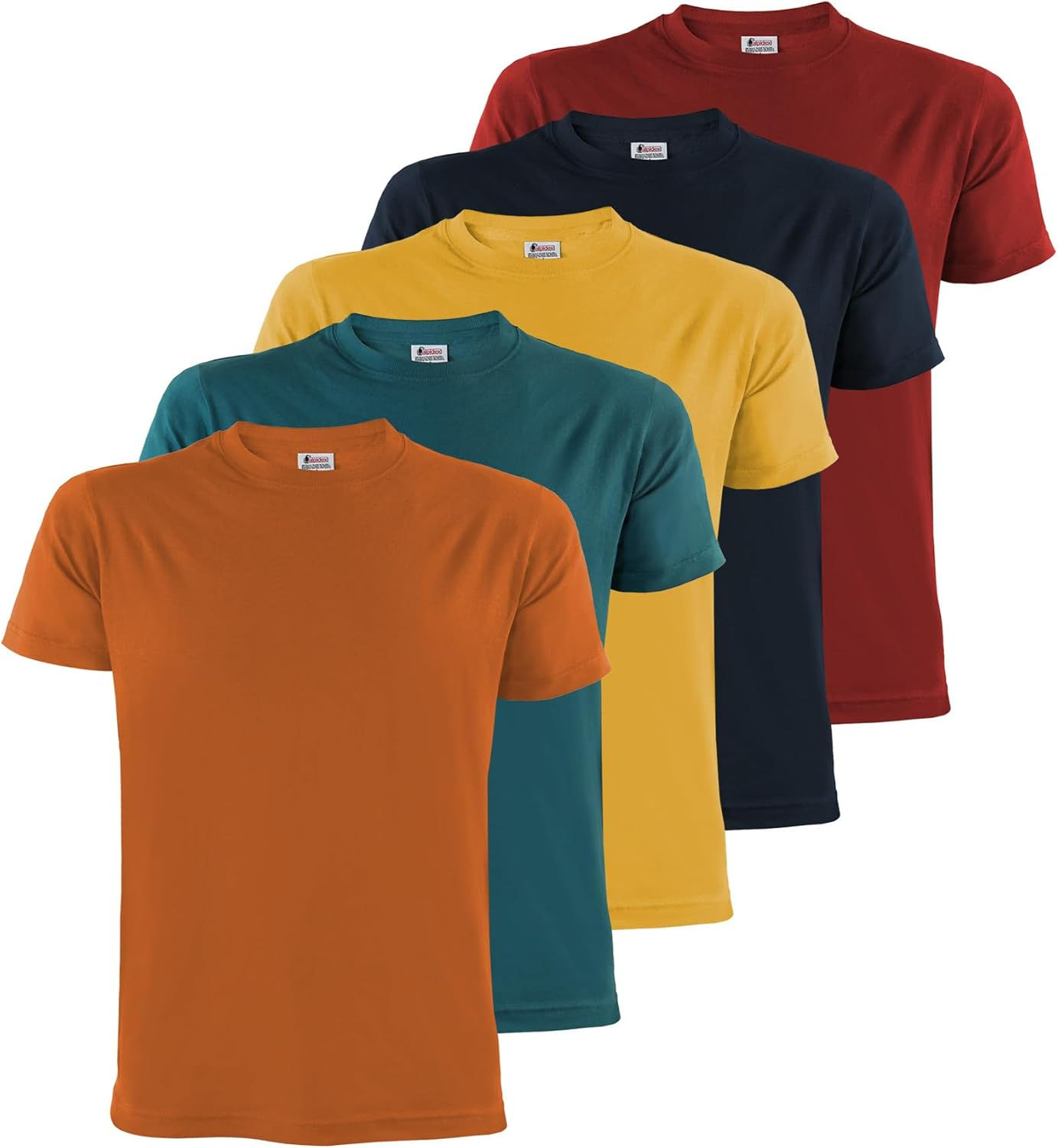 Lot de 5 t-shirts ALPIDEX homme manches courtes multicolores