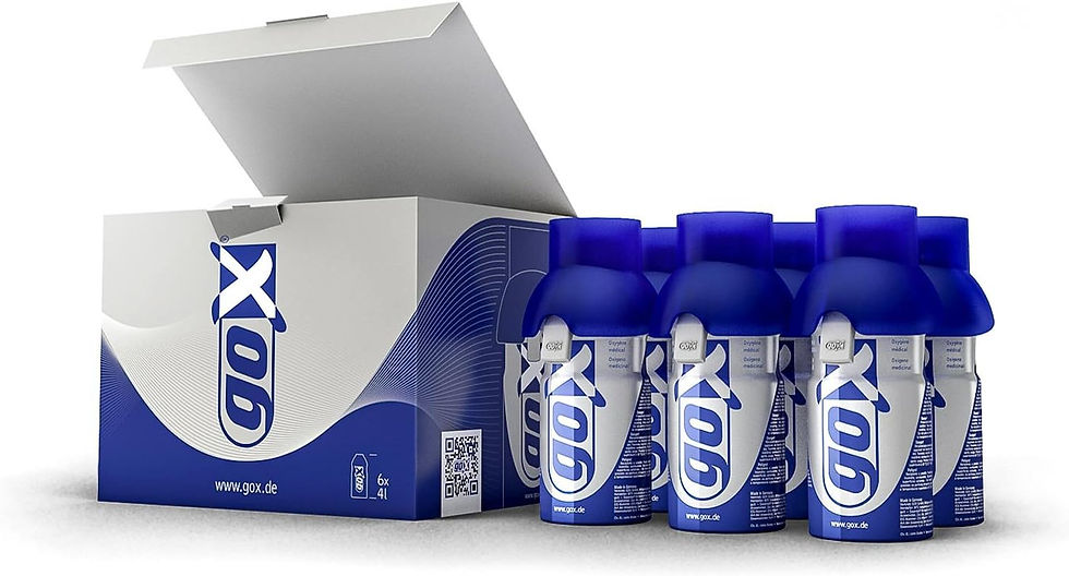 Paquet de 6 inhalateurs goX Sauerstoff 4 l avec boîte