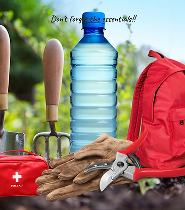 Essentials of foraging including: a bottle of water, a trowel. a bag, a pair of gloves.