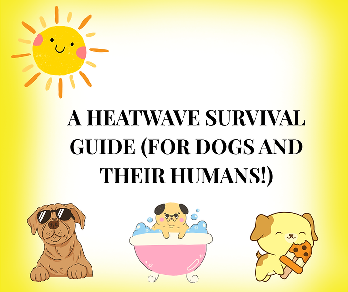THE HEATWAVE SURVIVAL GUIDE ( (1).png