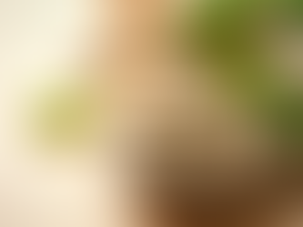 Where There's A Herb There's A Way: 5 Ways to Use Herbal Medicine For Dogs