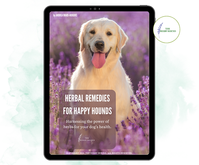 EBOOK MOCK UP (2).png