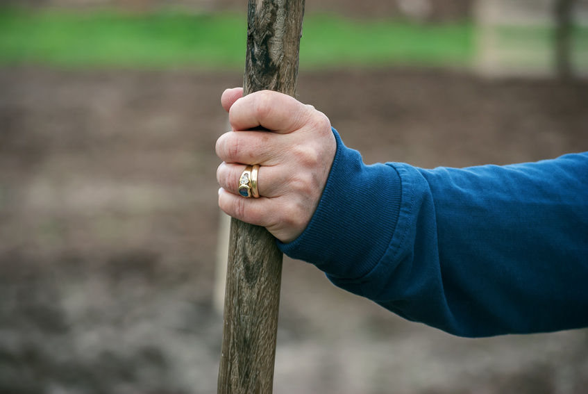 A Stake in the Ground