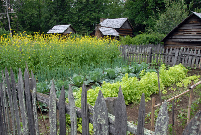 The Gardens of My Spirit