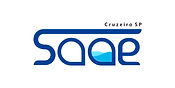 logo_saae copiar.jpg