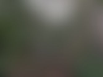 อาสาทำแนวกันไฟบนดอยค้ำฟ้า