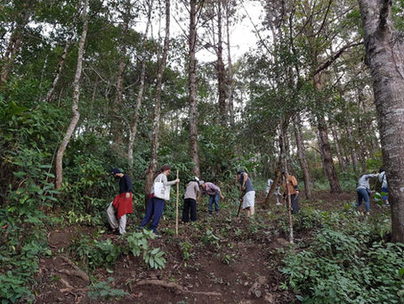 อาสาทำแนวกันไฟบนดอยค้ำฟ้า