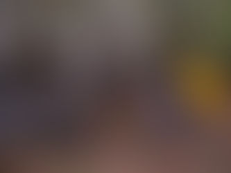 อาสาทำแนวกันไฟบนดอยดำ จ. เชียงใหม่