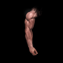 Untitled_Artwork.jpg (8).jpeg