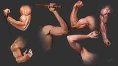 Untitled_Artwork.jpg (1).jpeg