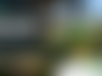 AI & Machine Vision for Automated Pineapple Harvesting