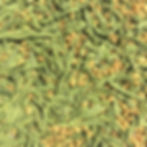 thé vert matcha genmaicha japon