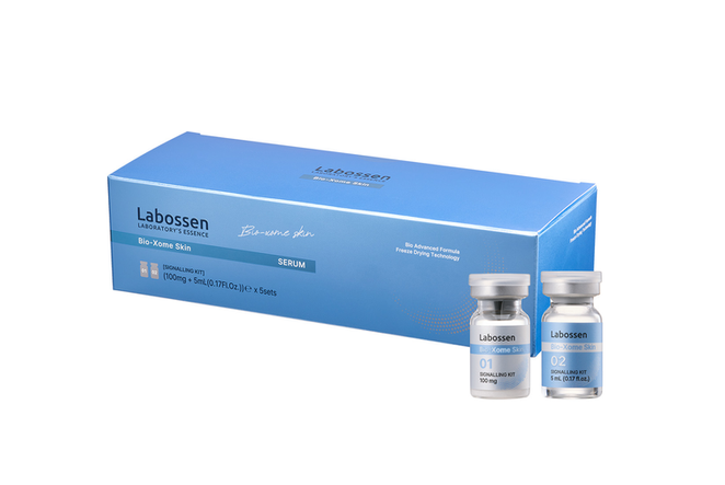 Labossen Skin_silver cap.png